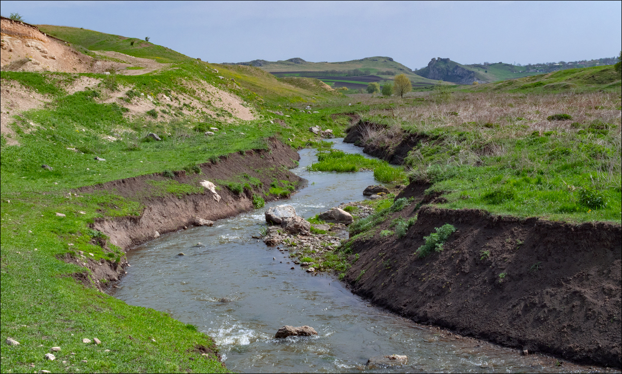Caracuseni Corjeuti Fetesti Gordinesti 20190427119