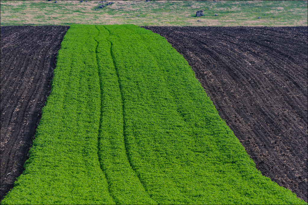 Caracuseni Corjeuti Fetesti Gordinesti 20190427141