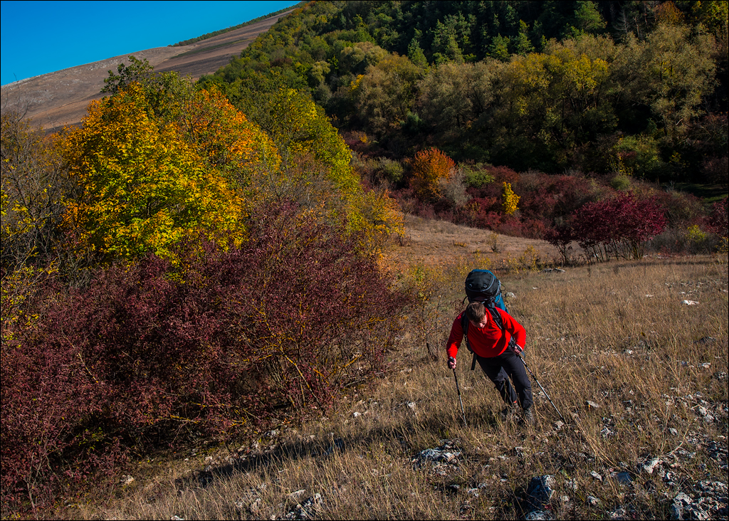 Corjeuti Fetesti 20172016122637