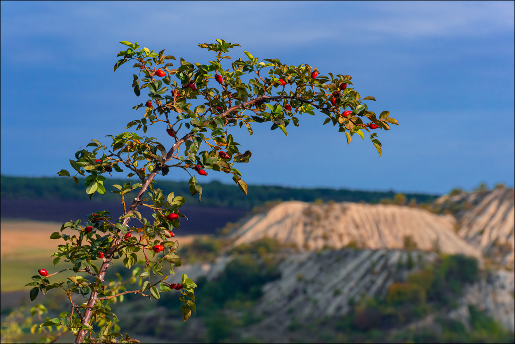 Trinca Gordinesti 24 25sep2022 117