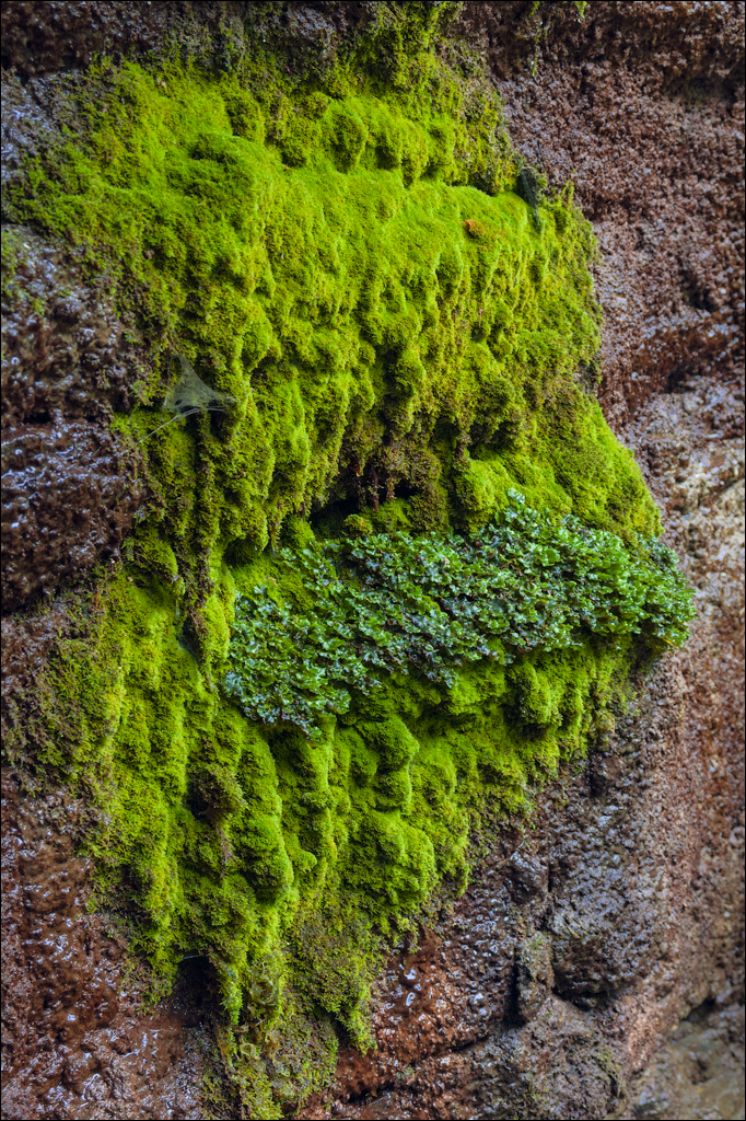 Tvipova Nostalgie 20050820115