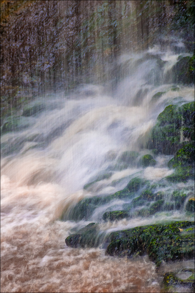 Tvipova Nostalgie 20050820118