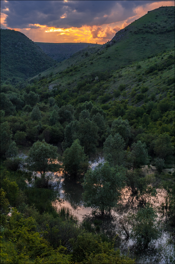 Tvipova Kotorogo Net 20060611016