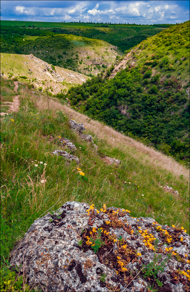 Tvipova Kotorogo Net 20060611031