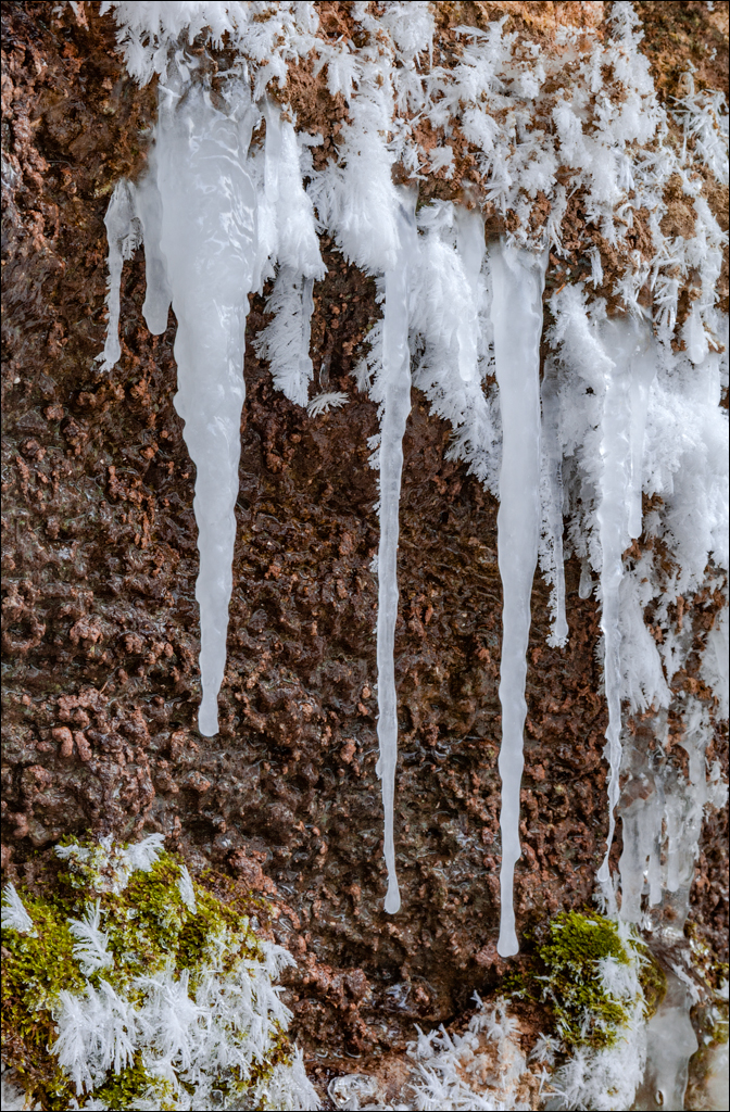 Tipova Poslezavtra 20060611013
