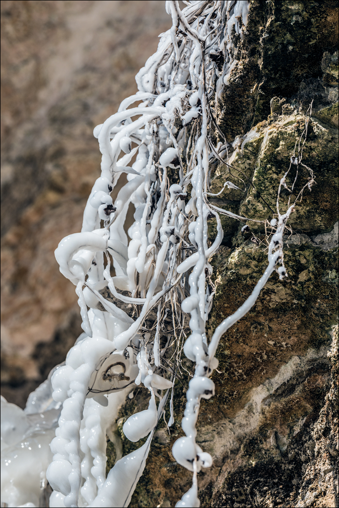 Tipova Mar 20180310029