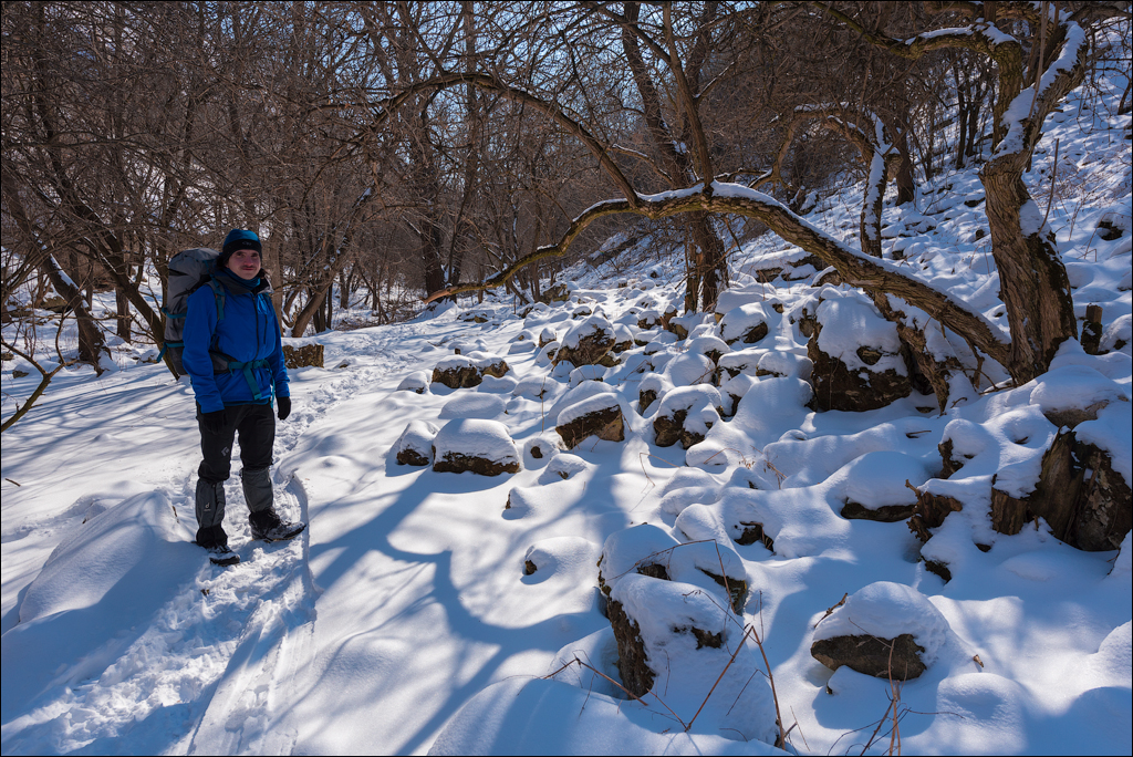 Tipova Mar 20180310031