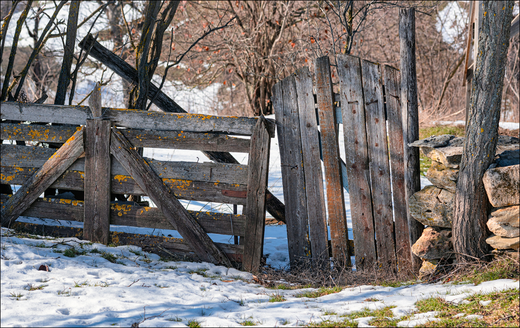 Tipova 20210218 19 147