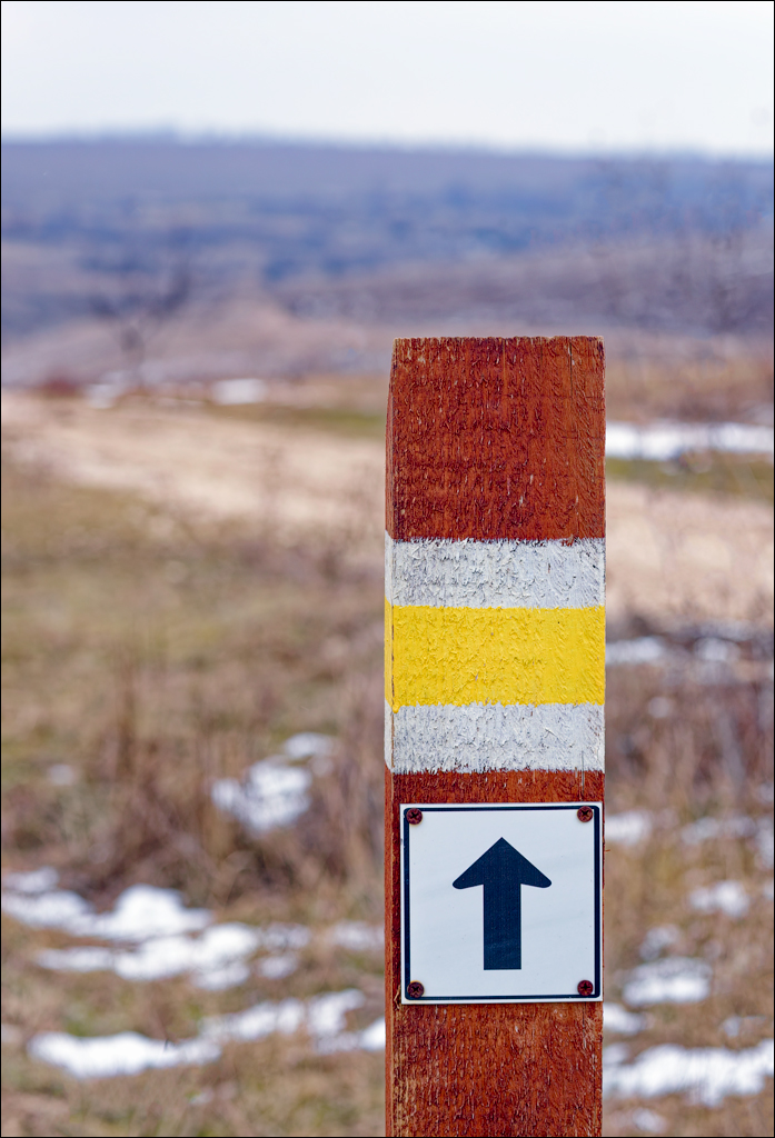 Tipova 22 23feb2025 104