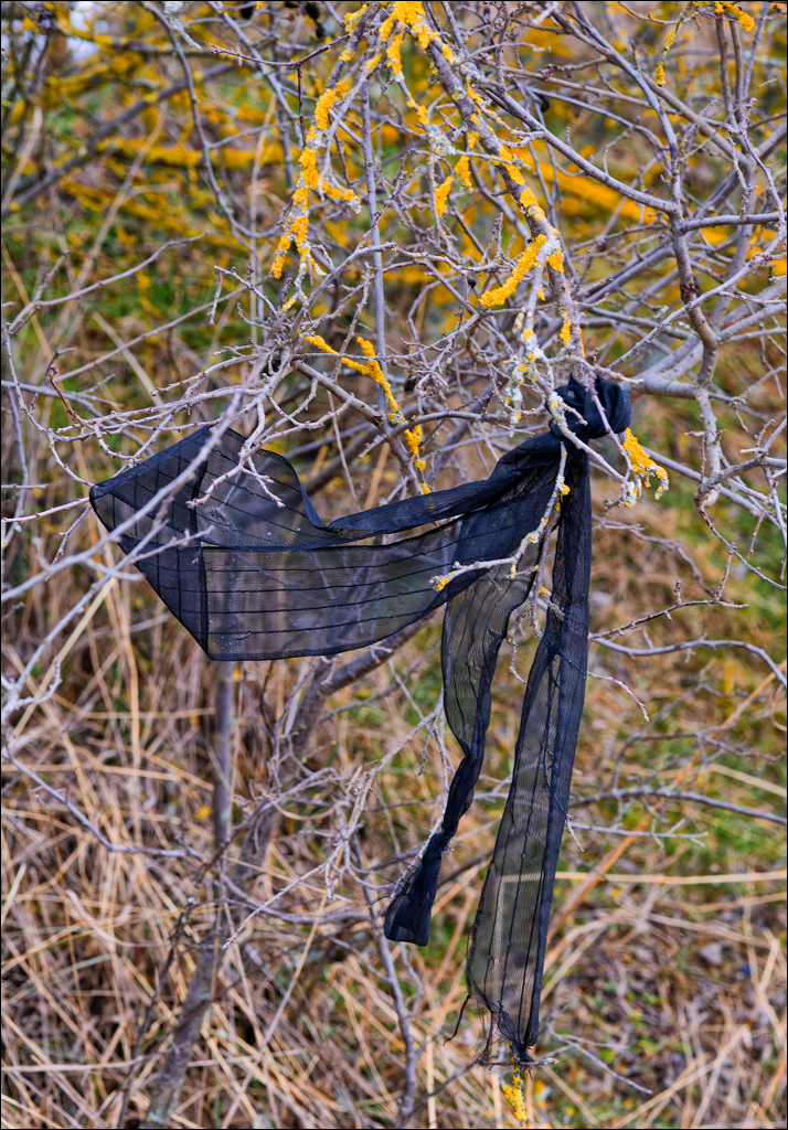 Tipova 22 23feb2025 111