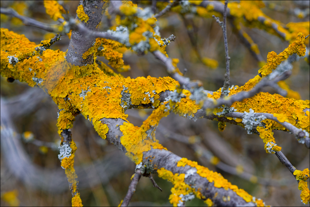 Tipova 22 23feb2025 116