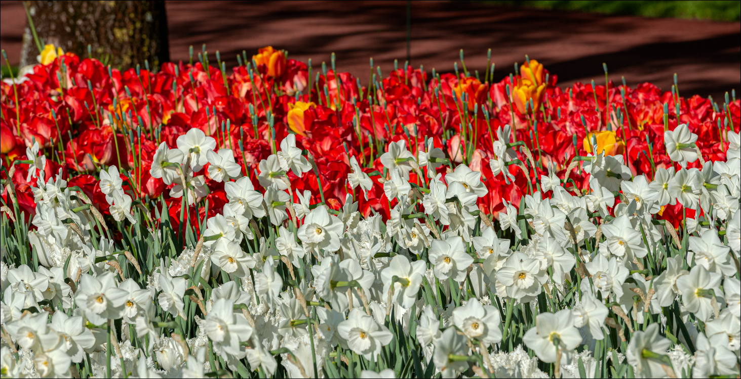 Amsterdam 202204261105