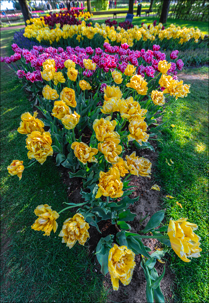 Amsterdam 202204261121