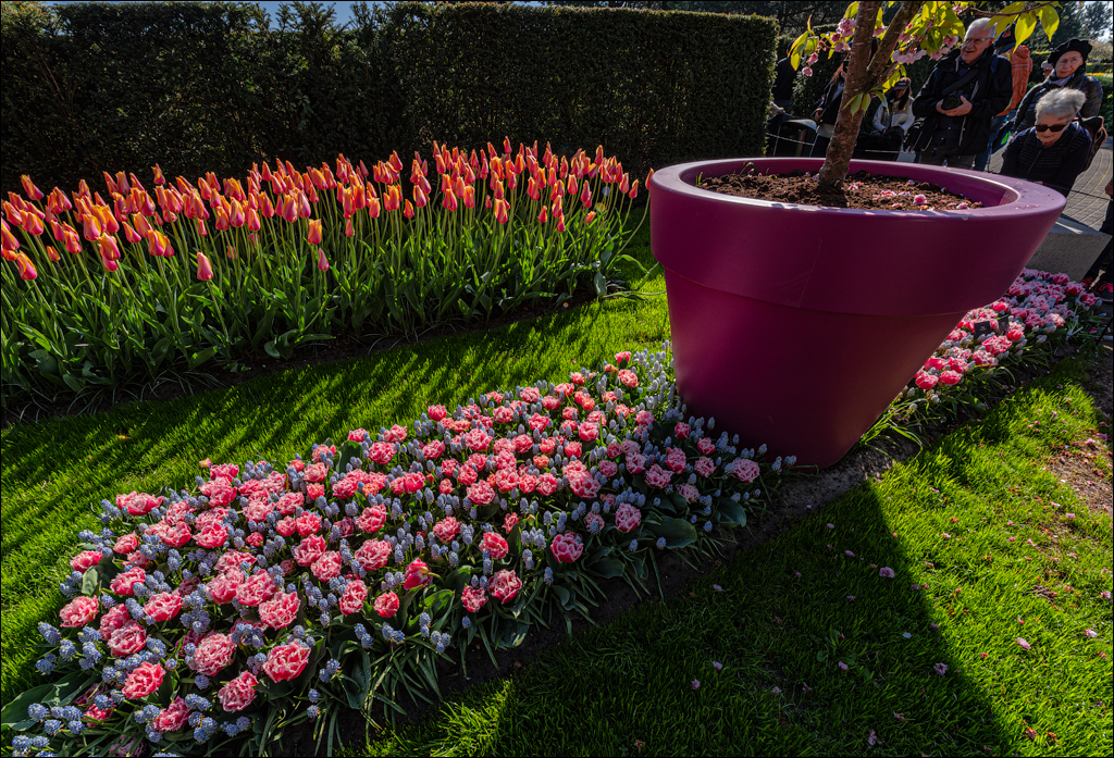 Amsterdam 202204261131