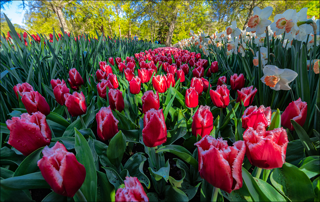 Amsterdam 202204261139