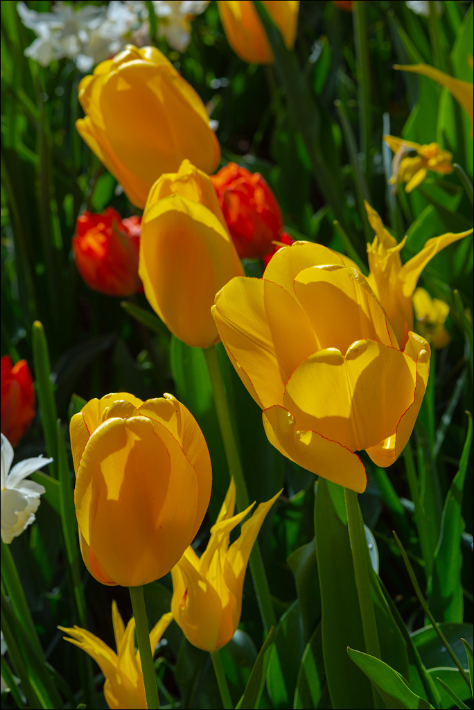 Amsterdam 202204261147