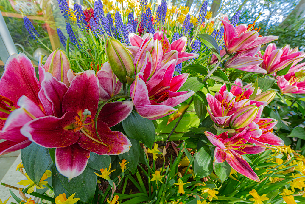 Amsterdam 202204261148