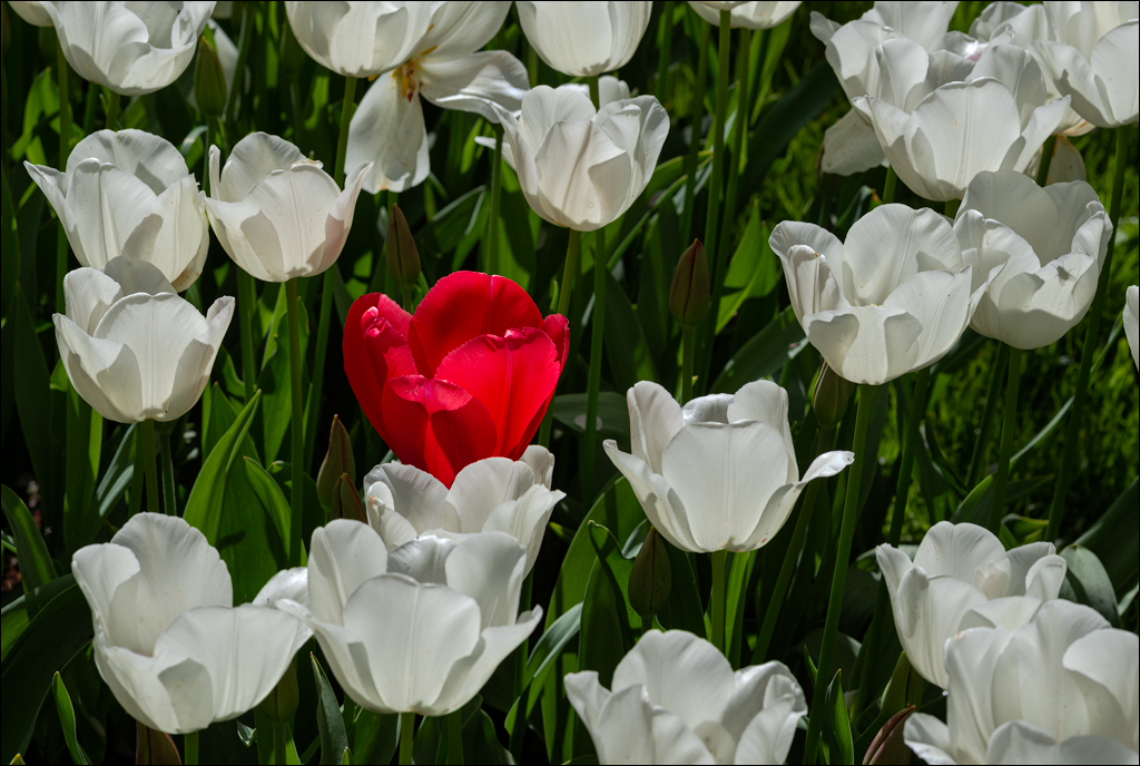 Amsterdam 202204261159