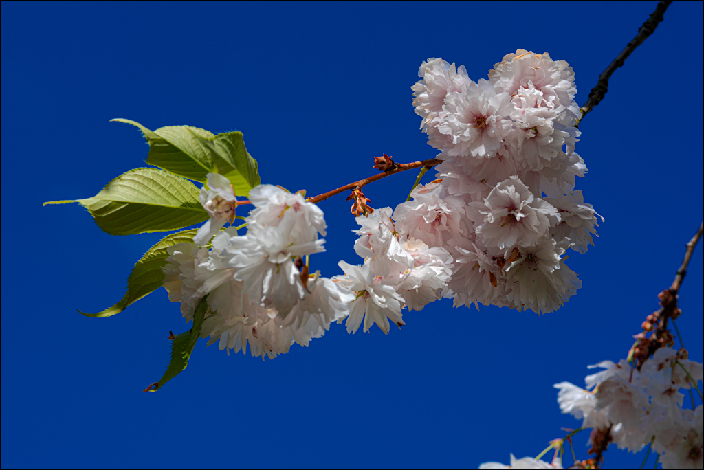 Amsterdam 202204261162