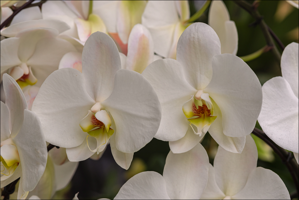 Amsterdam 202204261170