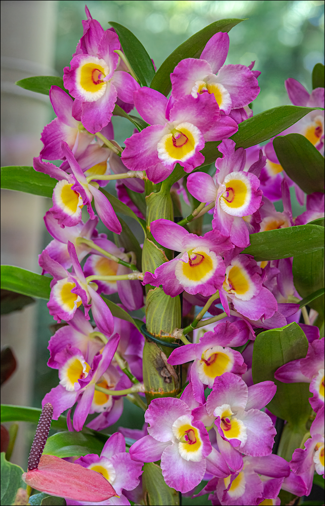 Amsterdam 202204261187