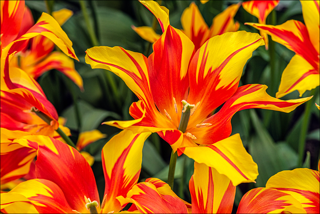 Amsterdam 202204262102