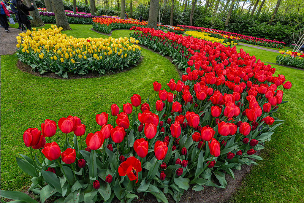 Amsterdam 202204262104