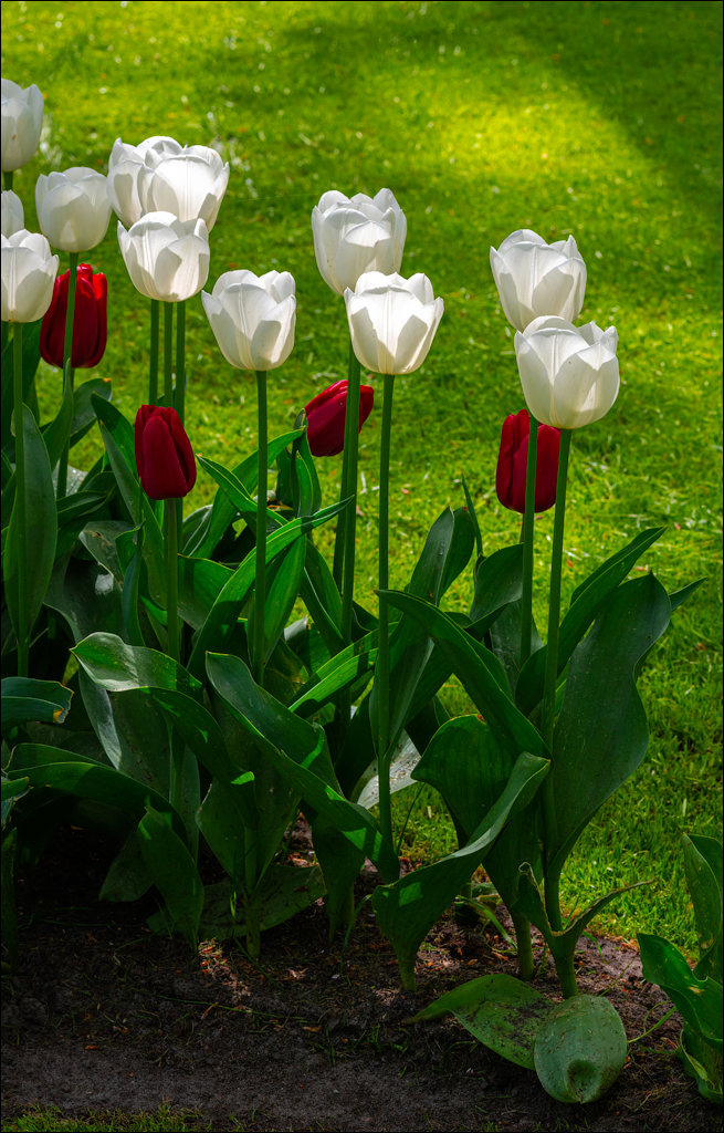 Amsterdam 202204262106