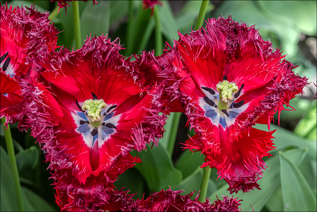 Amsterdam 202204262109