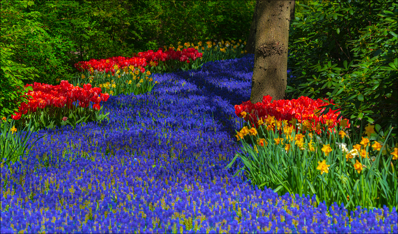 Amsterdam 202204262113