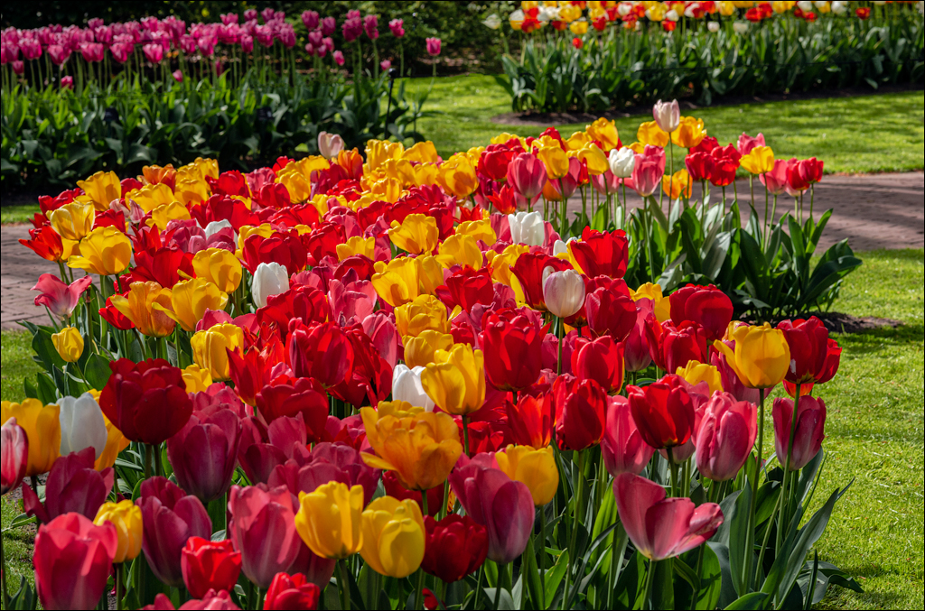 Amsterdam 202204262115