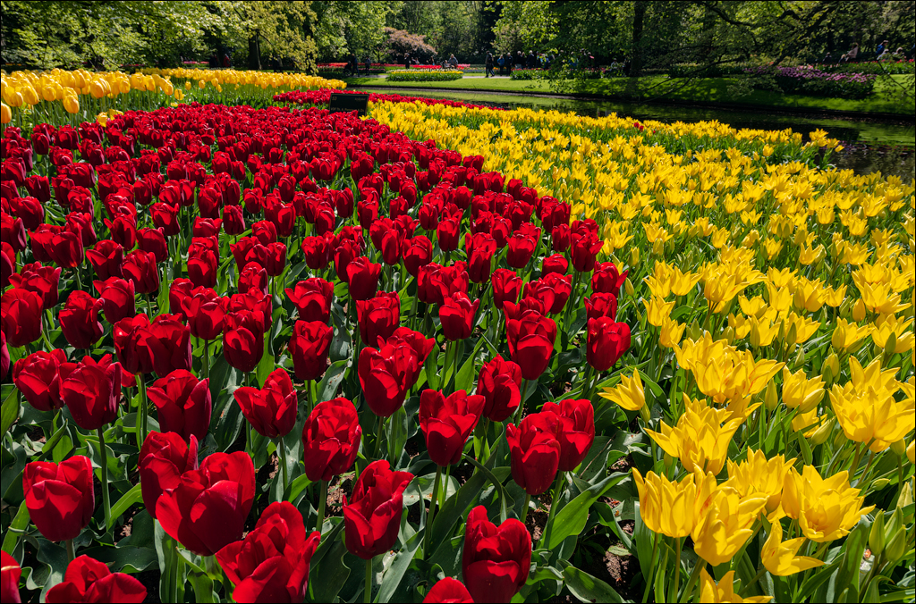 Amsterdam 202204262121