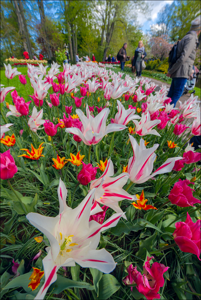 Amsterdam 202204262127