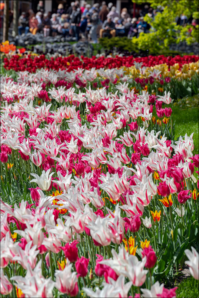 Amsterdam 202204262132