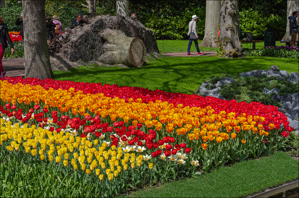 Amsterdam 202204262141