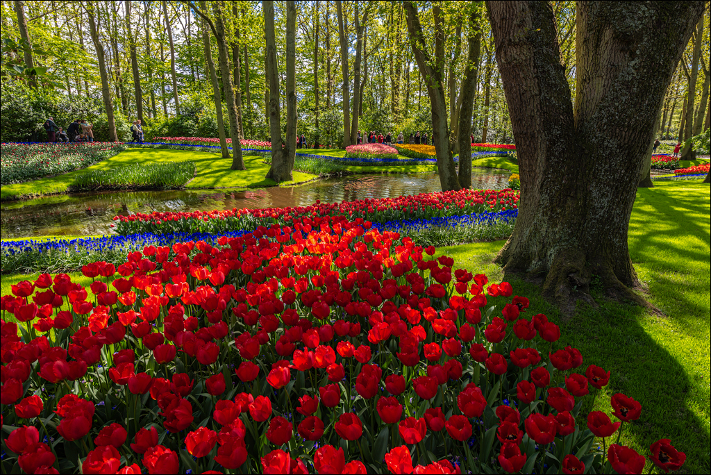 Amsterdam 202204262142