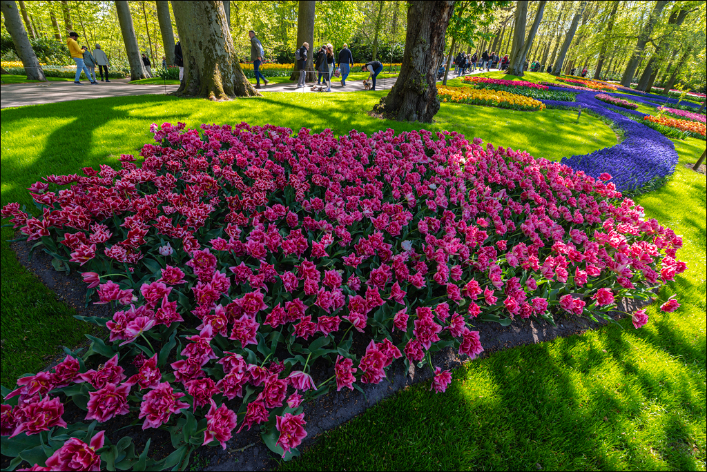 Amsterdam 202204262149