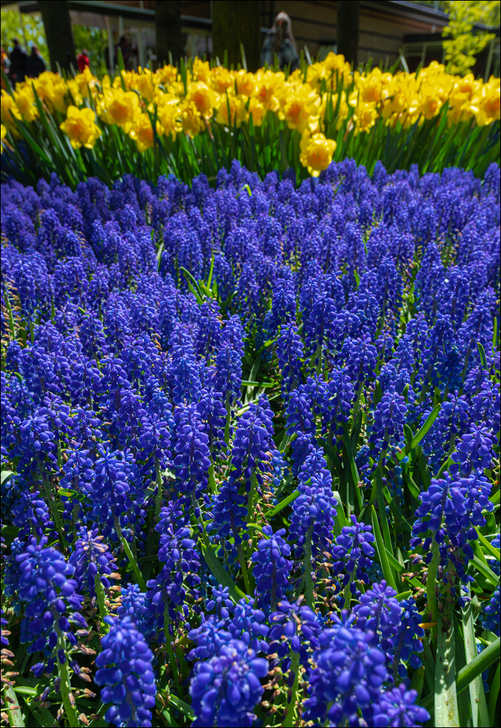 Amsterdam 202204262156