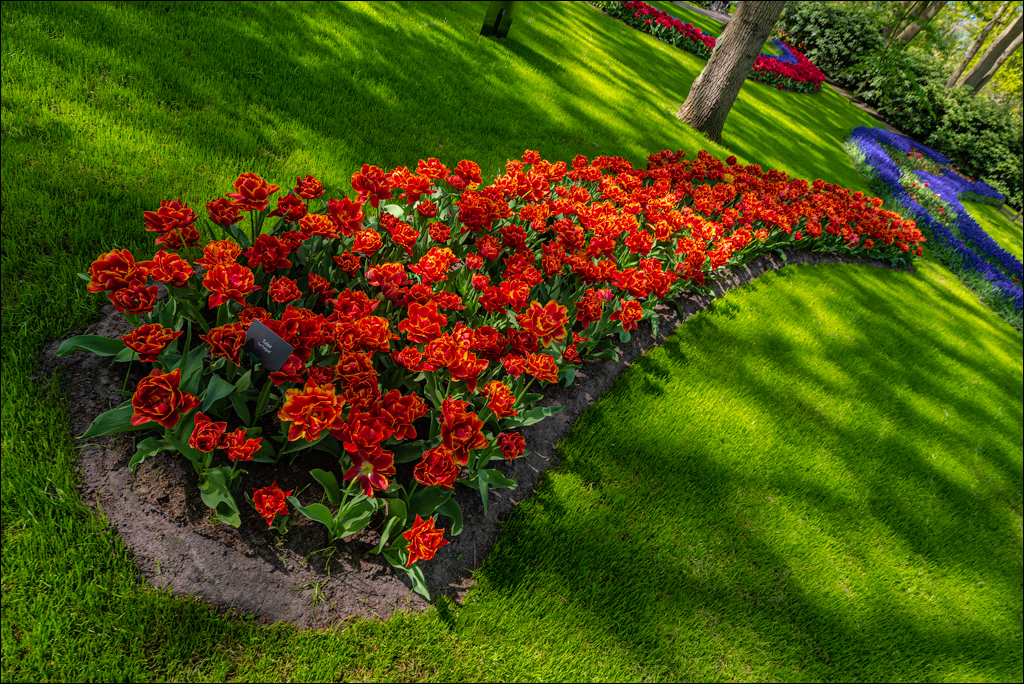 Amsterdam 202204262160