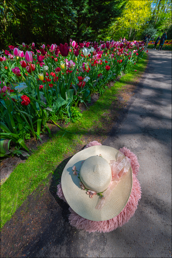 Amsterdam 202204262165