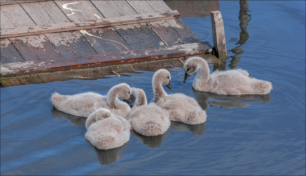 Amsterdam 20220501 104