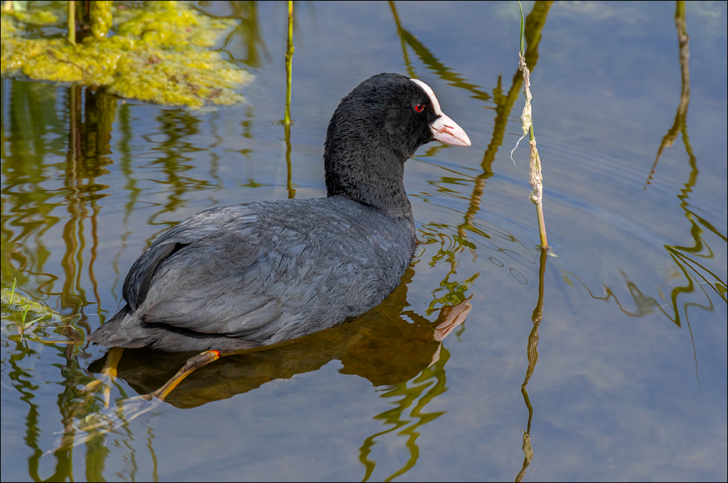Amsterdam 20220501 106