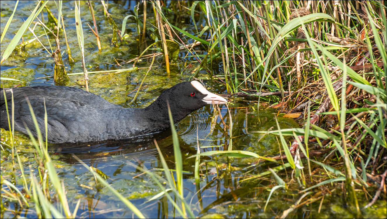 Amsterdam 20220501 109