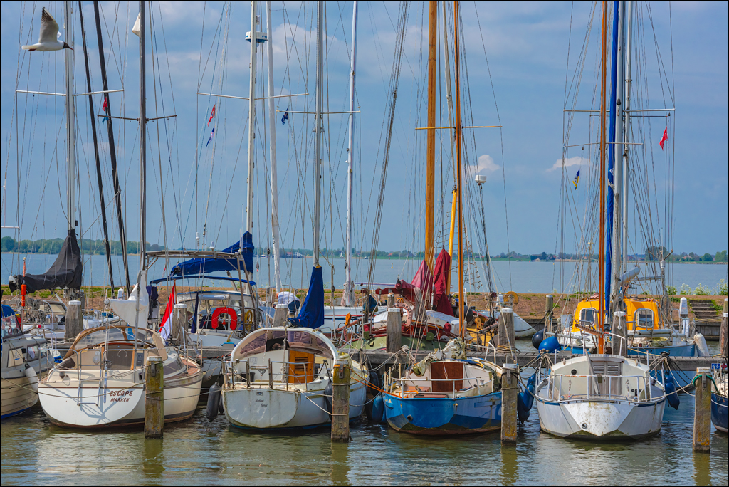 Amsterdam 20220501 158