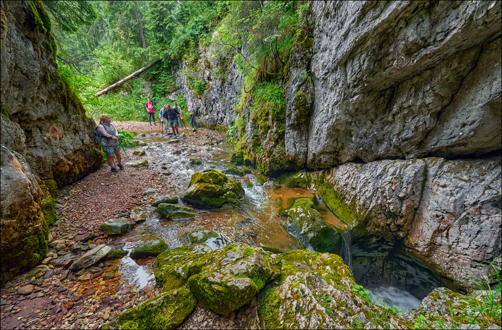 Apuseni 21 23jul2023 109