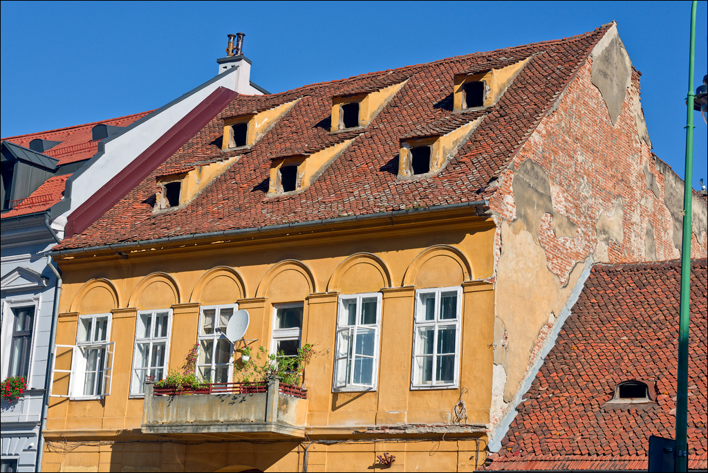 Brasov TimisuDeJos PoianaBrasov 11 16aug2024 122