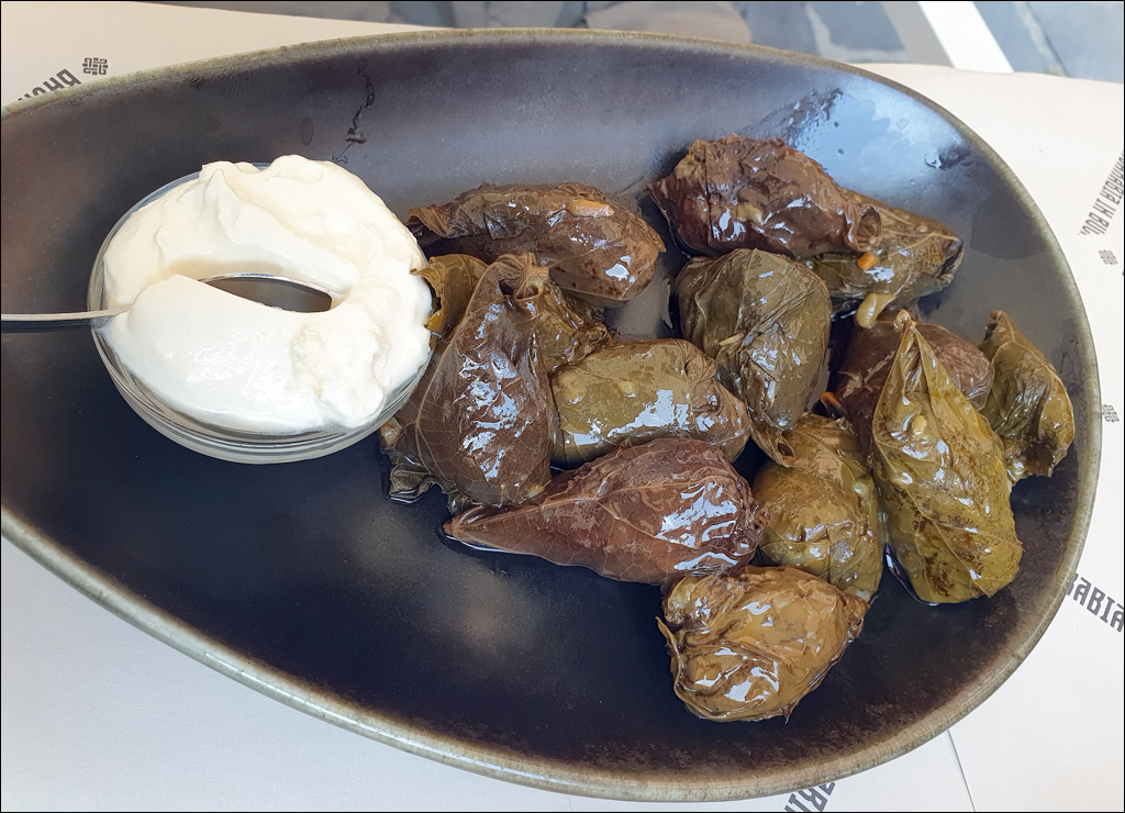 Brasov TimisuDeJos PoianaBrasov 11 16aug2024 182