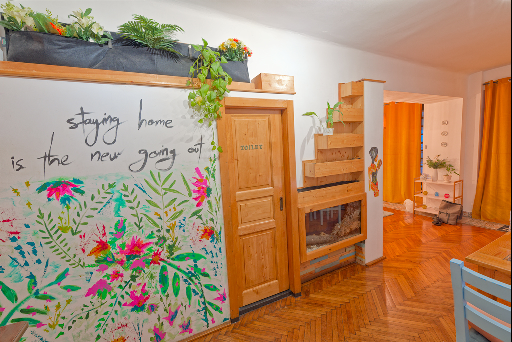 Brasov TimisuDeJos PoianaBrasov 11 16aug2024 195