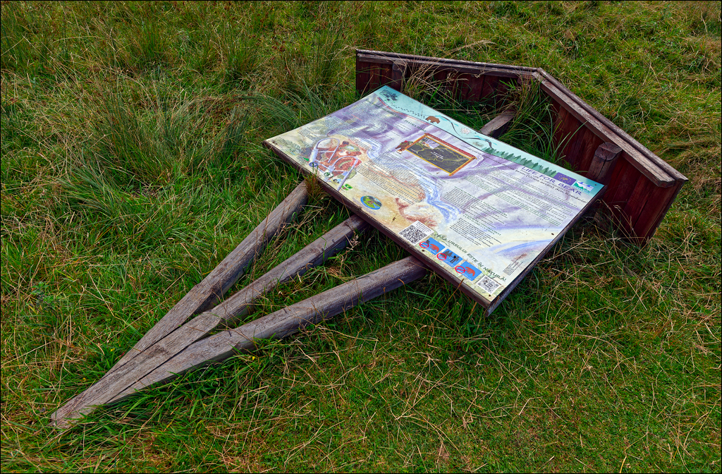 Brasov TimisuDeJos PoianaBrasov 11 16aug2024 212