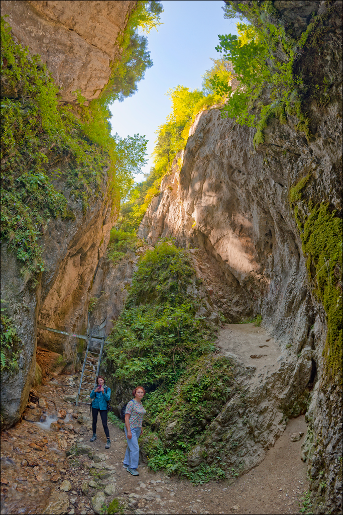 Brasov TimisuDeJos PoianaBrasov 11 16aug2024 232